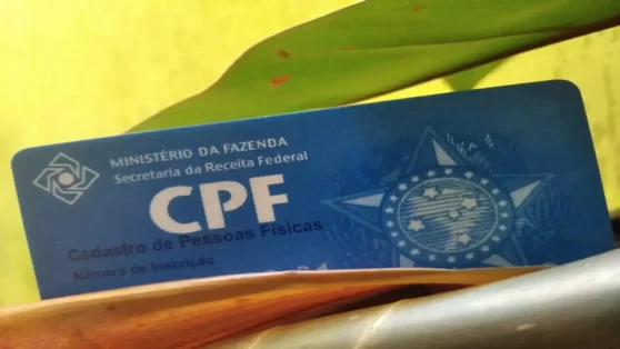 Leia mais sobre o artigo Teve o CPF bloqueado? Veja o que significa.