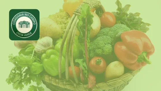Seu Guia Prático para Solicitar o Benefício Cesta Verde