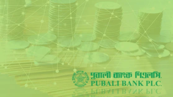 Obtenha Facilmente seu Empréstimo Pubali Bank