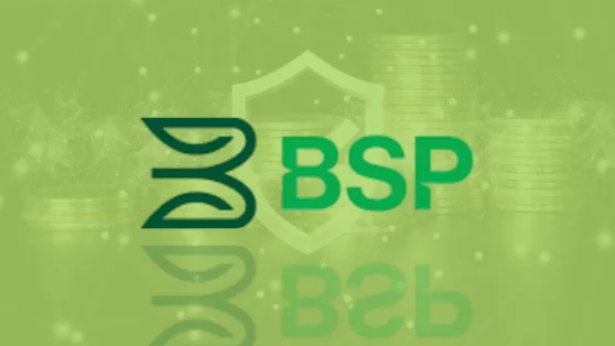 Benefícios Imperdíveis dos Empréstimos BSP